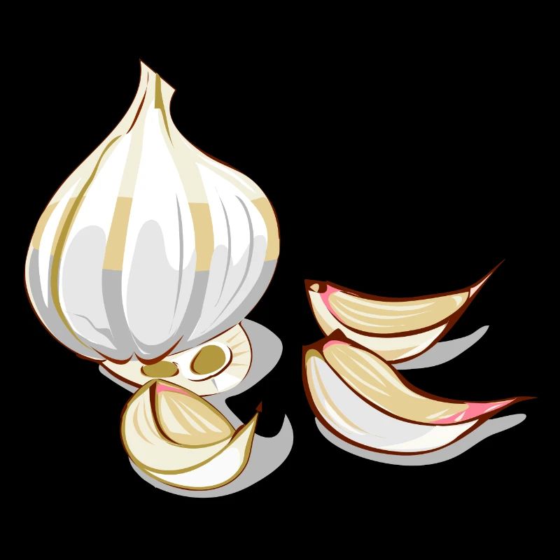 Knoblauch Garlic
