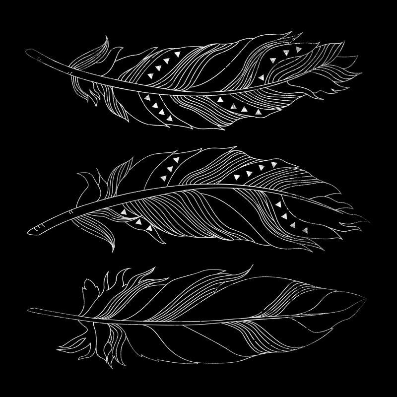 Gift feather bird feather Indian Style