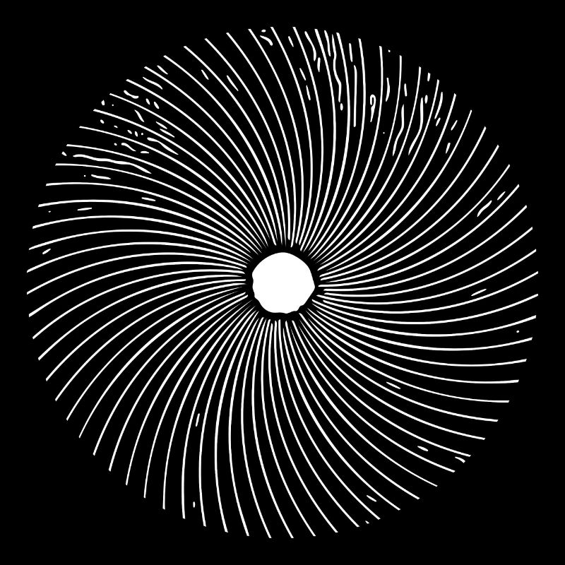 Geometric Circle Optical 3D Line Illusion