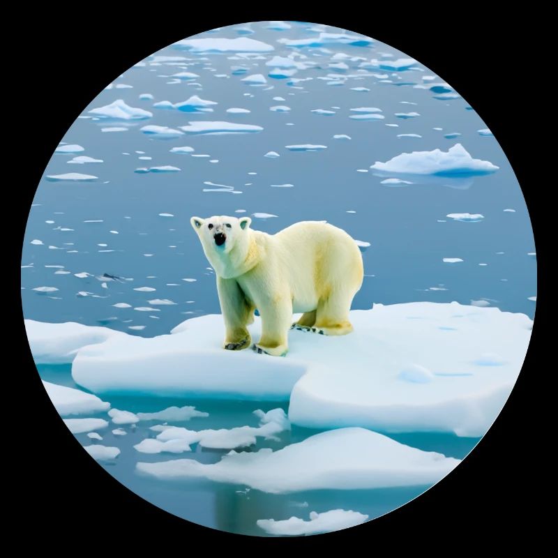 Cool Polar Bear - A design for cold lovers!