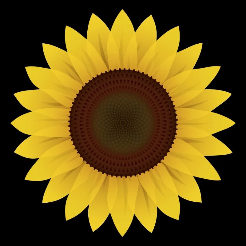 Sonnenblume Geschenk Idee