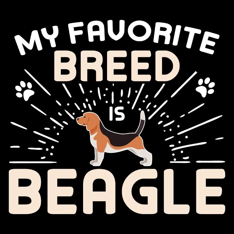 Ma race préférée est le Beagle