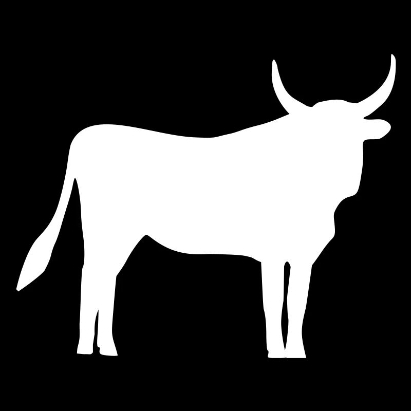 Stier