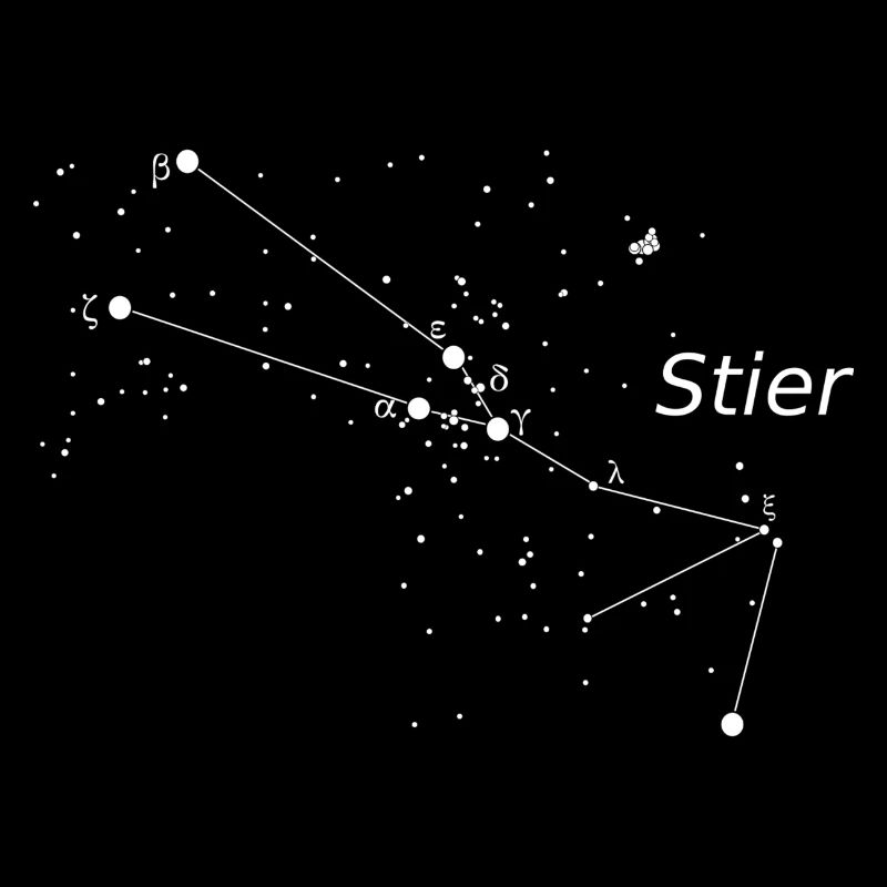 Stier Sternbild Sternzeichen