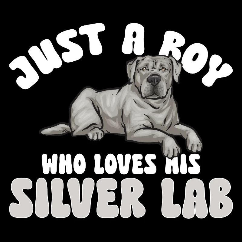 Silver Labrador Retriever Silver Lab