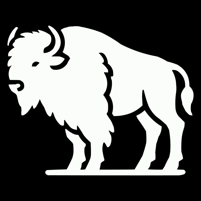 Bison Animal