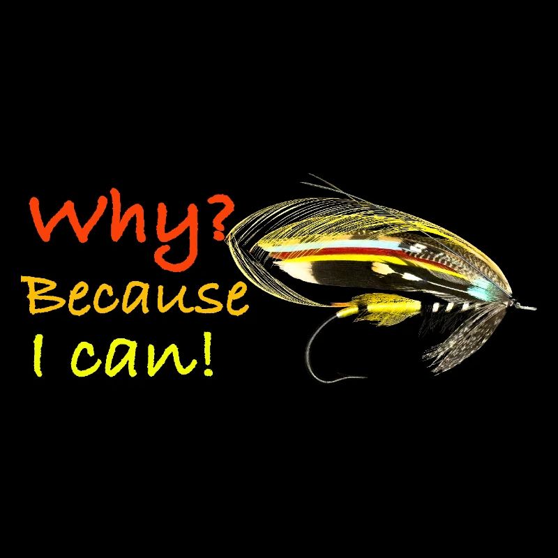 Why because i can Jock Scott