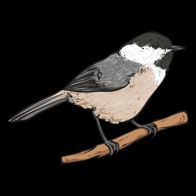 Observation des oiseaux mésanges