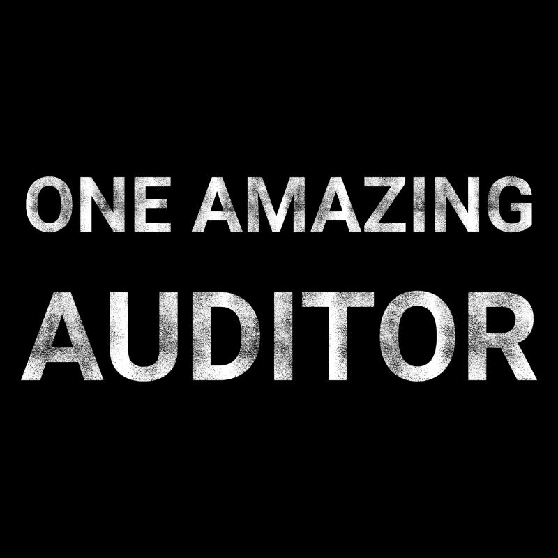 One Amazing Auditor
