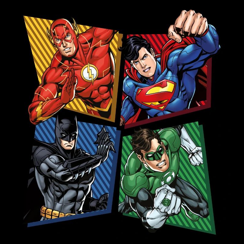 DC Comics Justice League Superheroes Group