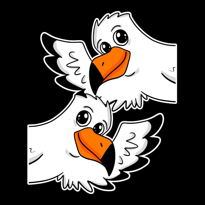 Möwe Möwen