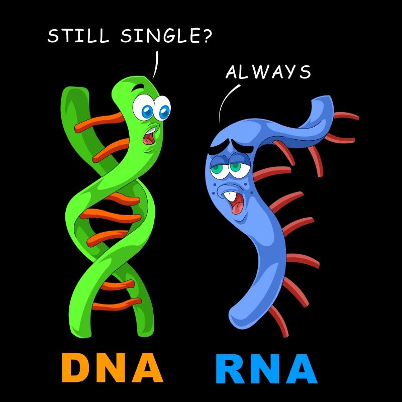 DNA RNA still single