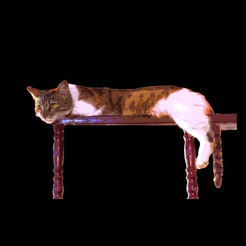 j'adore les chats