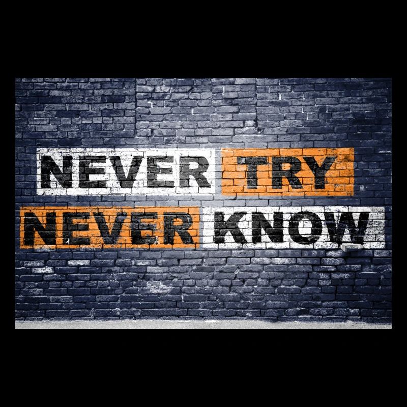Never Try never know Ziegelsteinmauer Motivation
