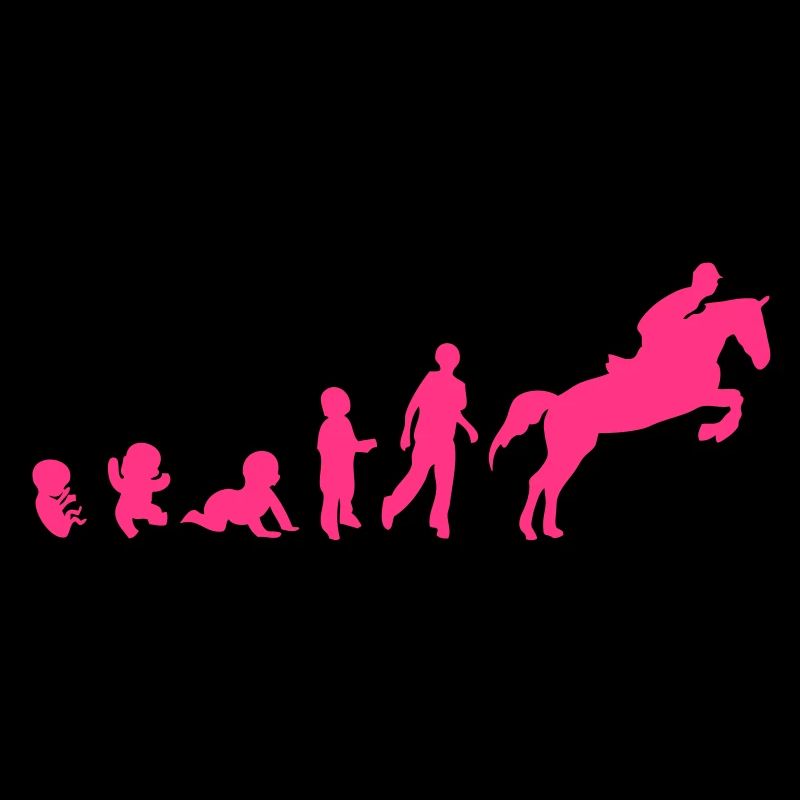 Evolution cheval3 obstacle riding his