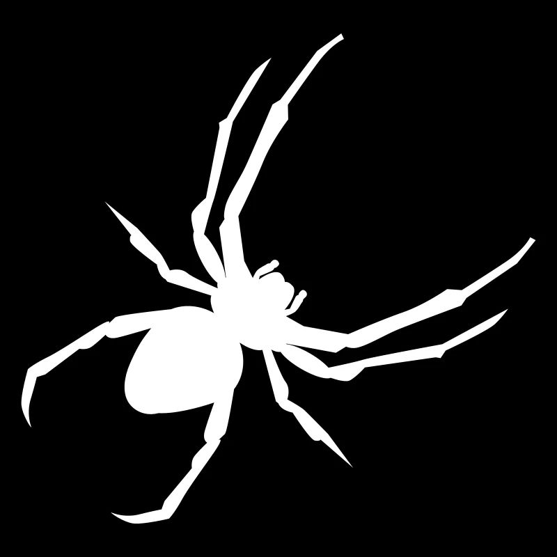 Spinne