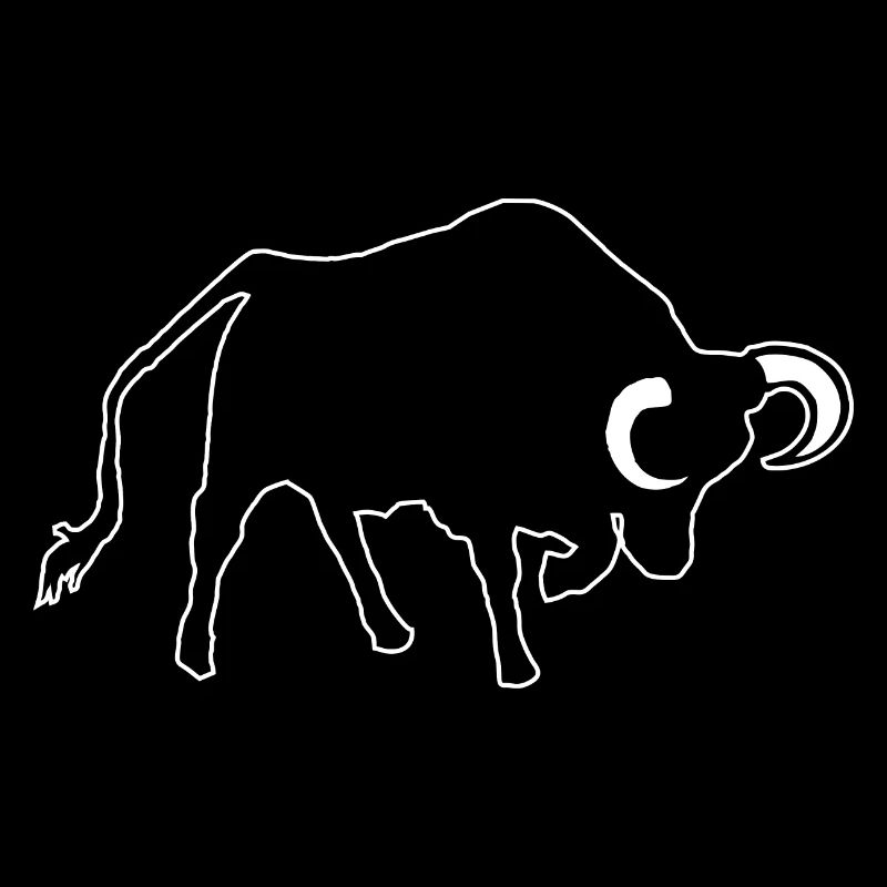 Stier
