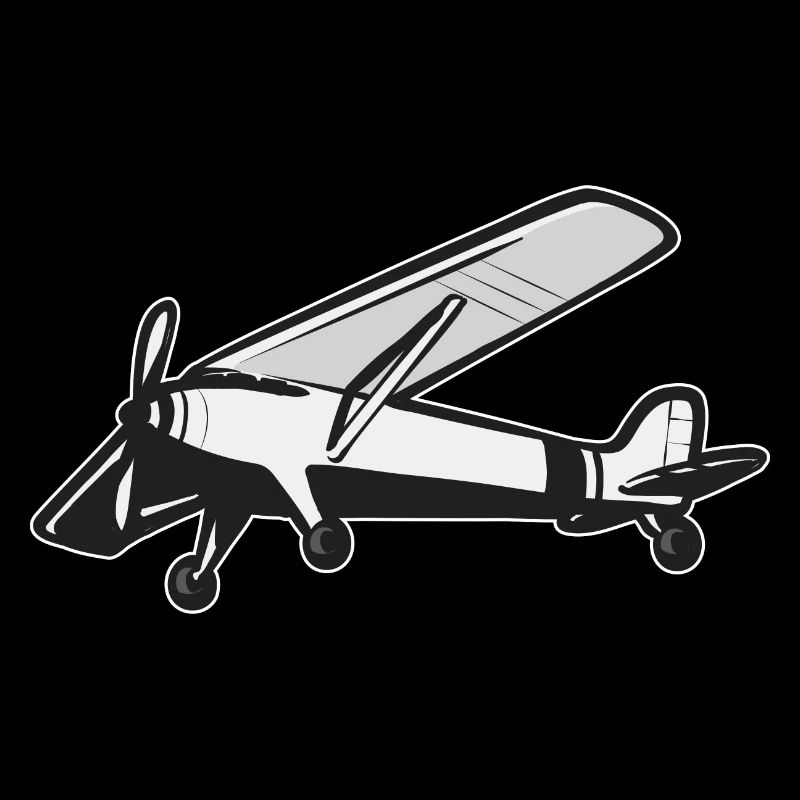 Remote Controlled Airplane Model Airplane