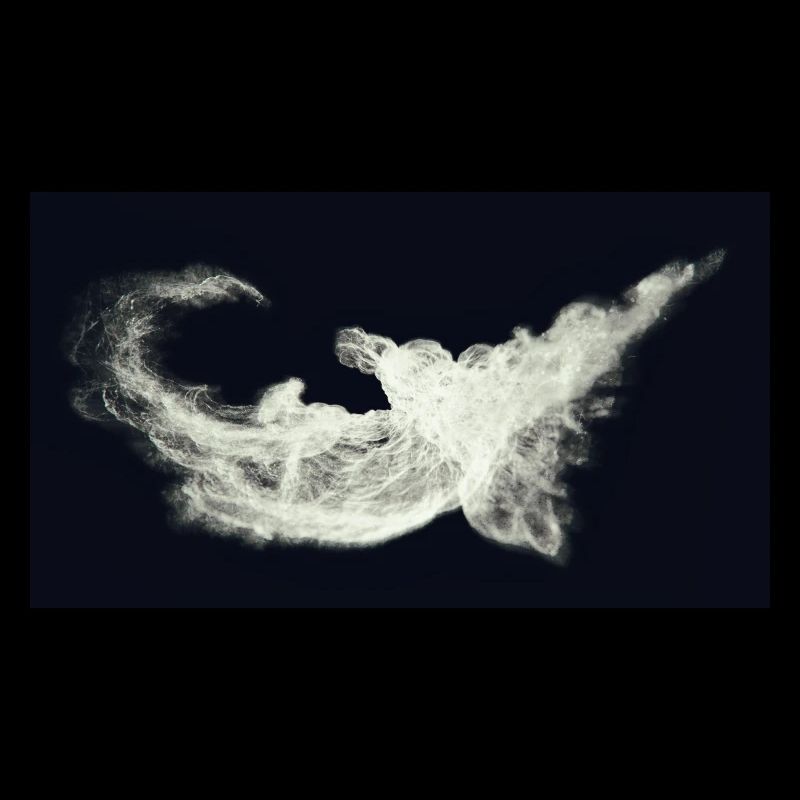 Nocturnal/Lost [Third]