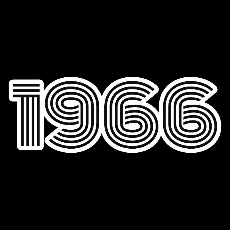 Année de naissance 1966