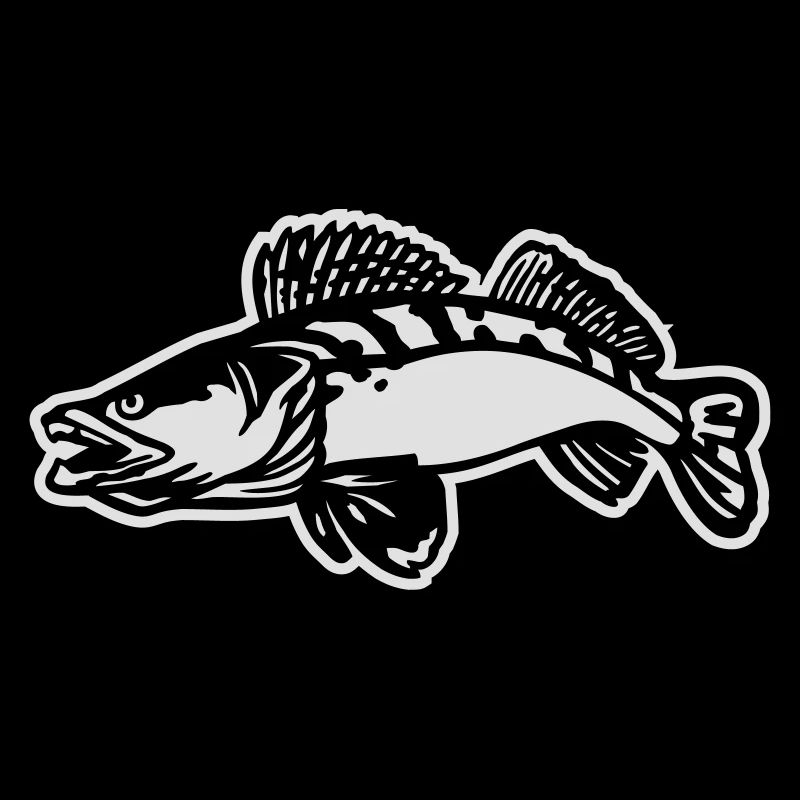 zander1__2c_mit_kontur