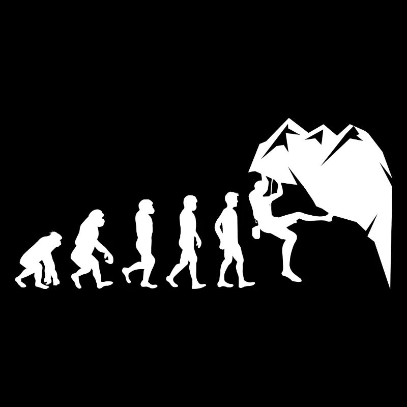 Rock Climbing Bouldering Wall Climber Evolution