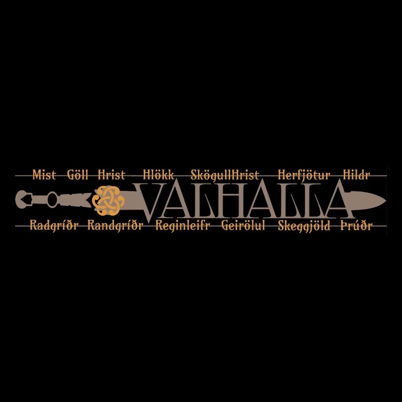 Valhalla - Winkinger - Sword and Valkyries