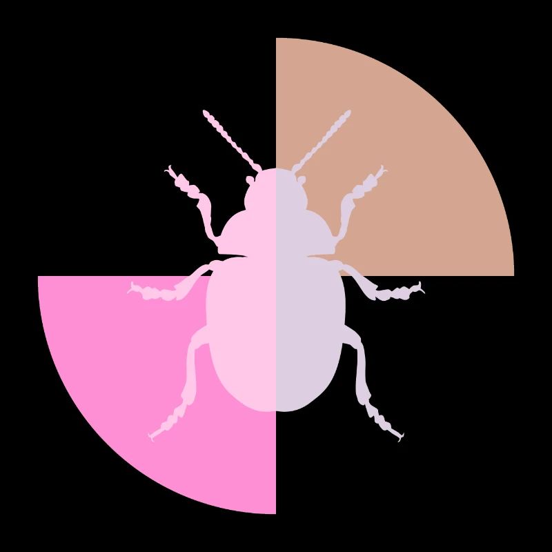 Duo Coccinelle Gris Pastel Rose