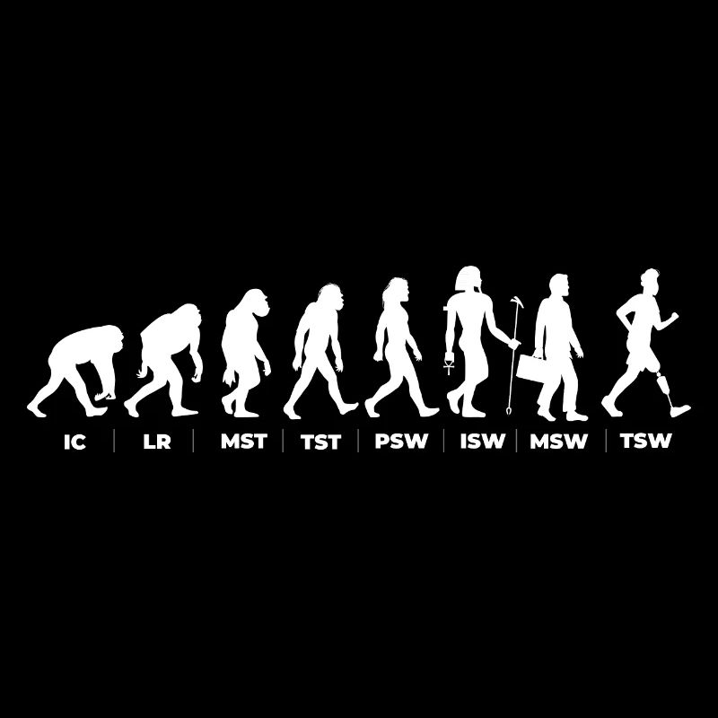 Die Evolution & der Gangzyklus (gOT it!)