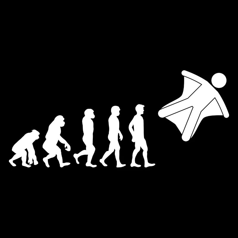 Wingsuit volant Base Jumping Skydiving Evolution