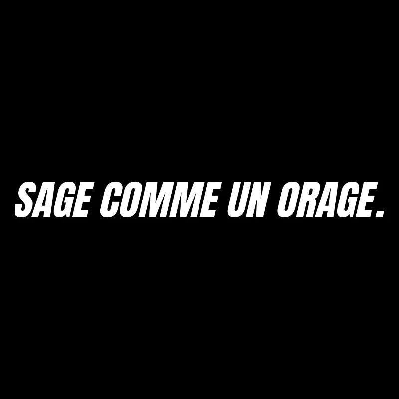 sage comme un orage