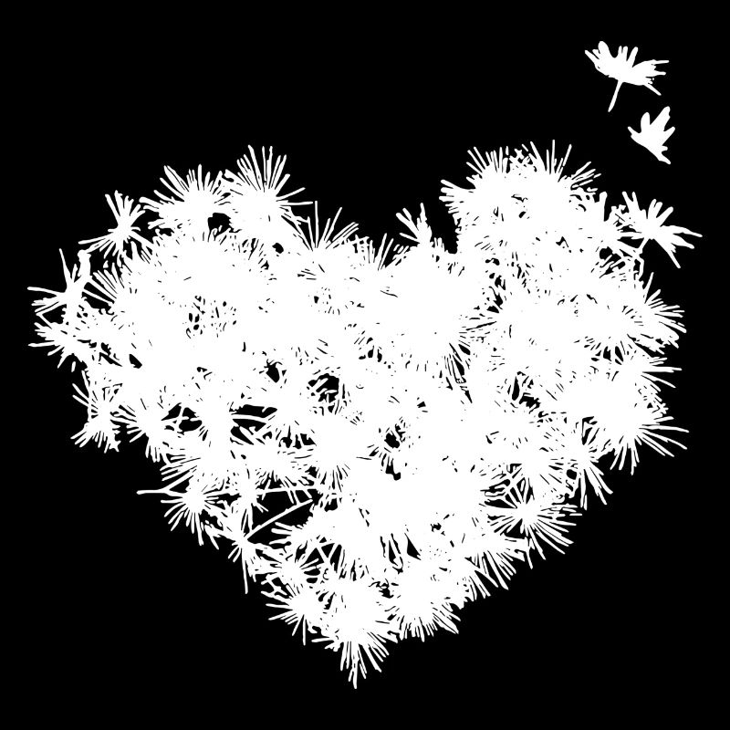 Pusteblumen Herz