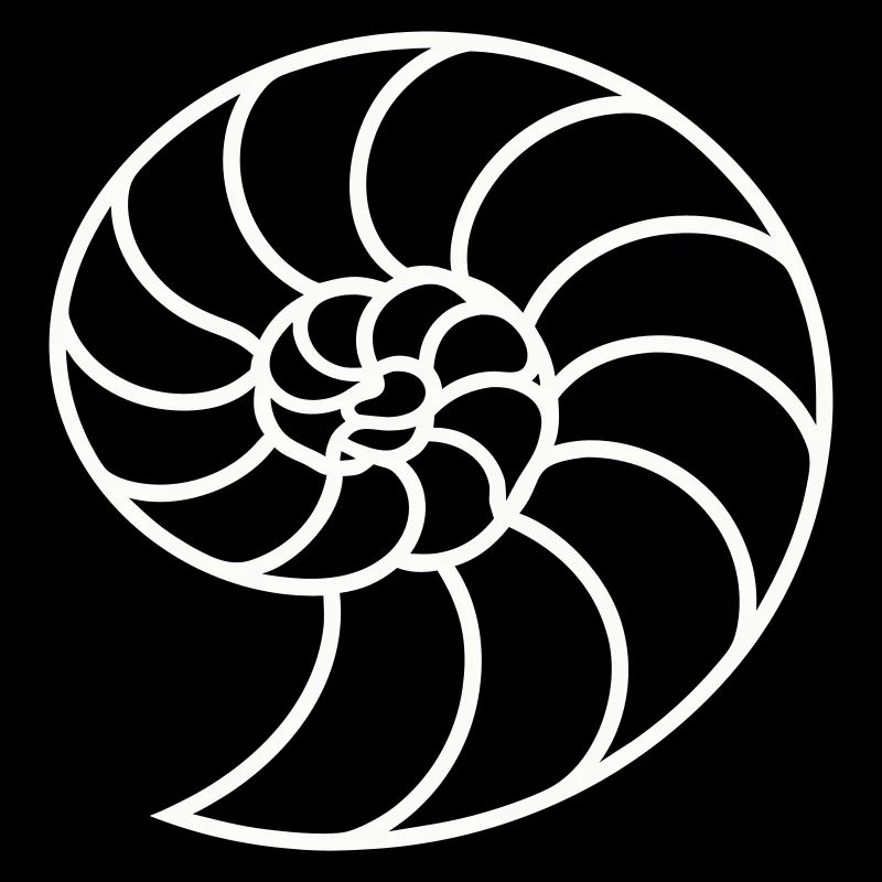 Spirale Nautile Blanche