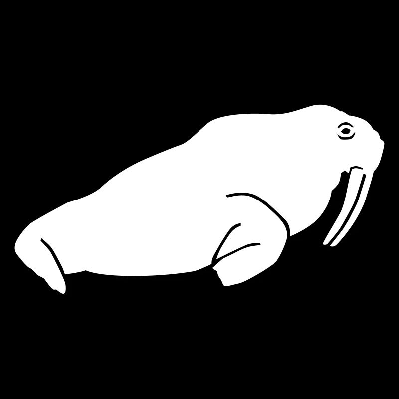Walrus