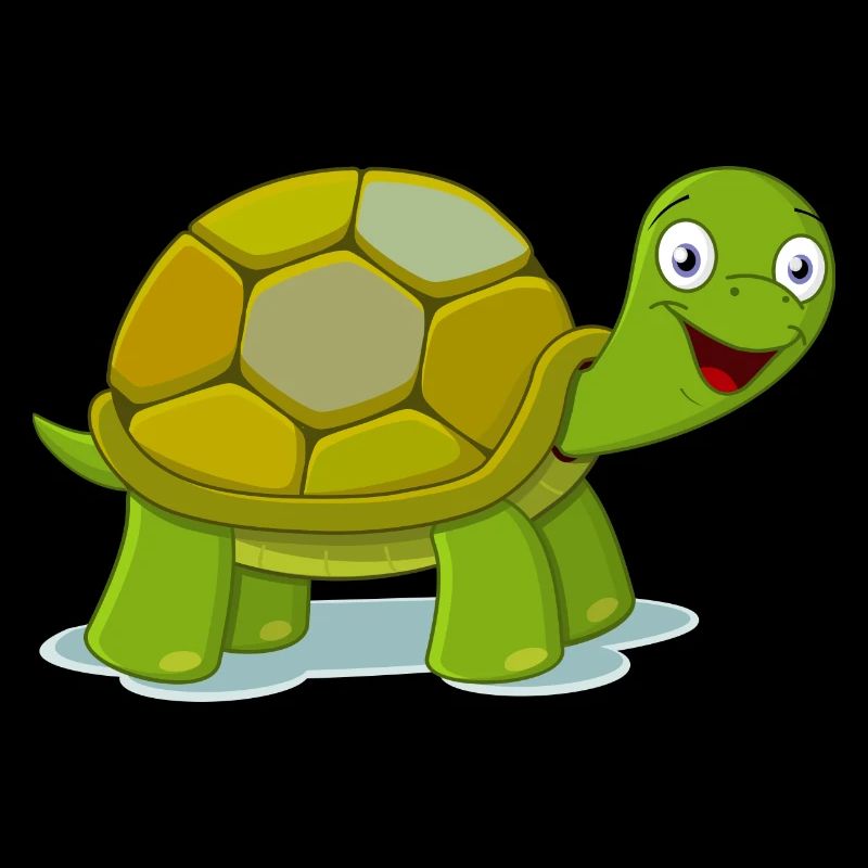 sea turtle tortoise tortoises5