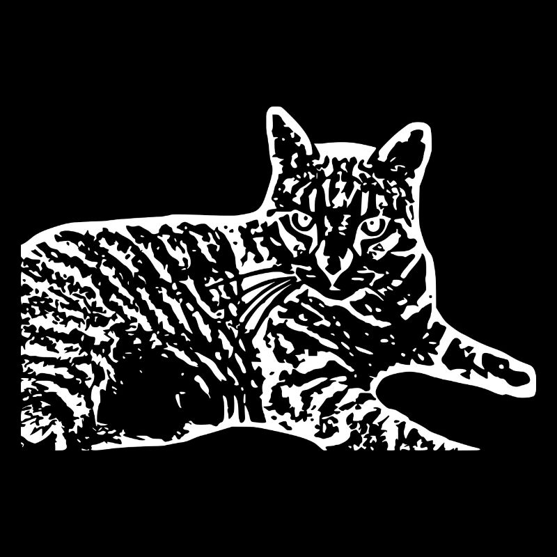 weiße Katze Katze weiß Katzen Geschenk