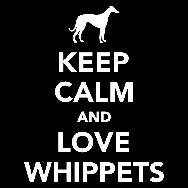 Whippet