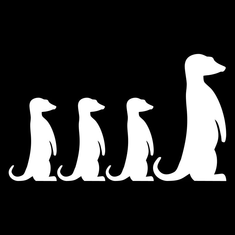 Erdmännchen