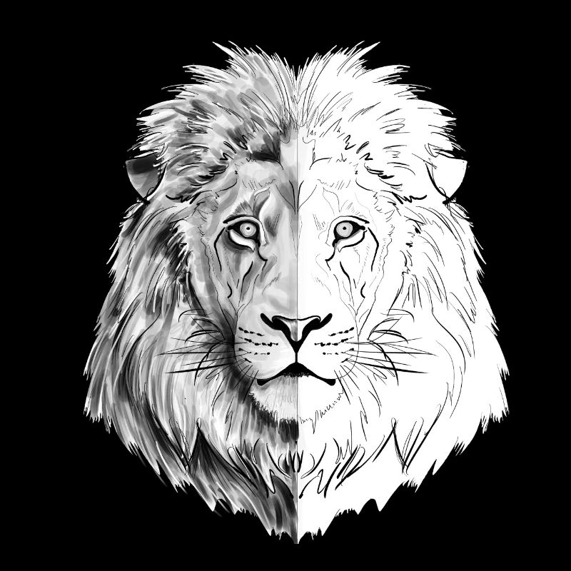 An interesting drawn lion