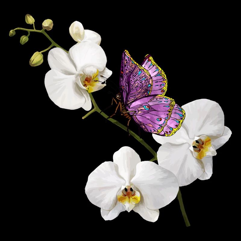 Papillon