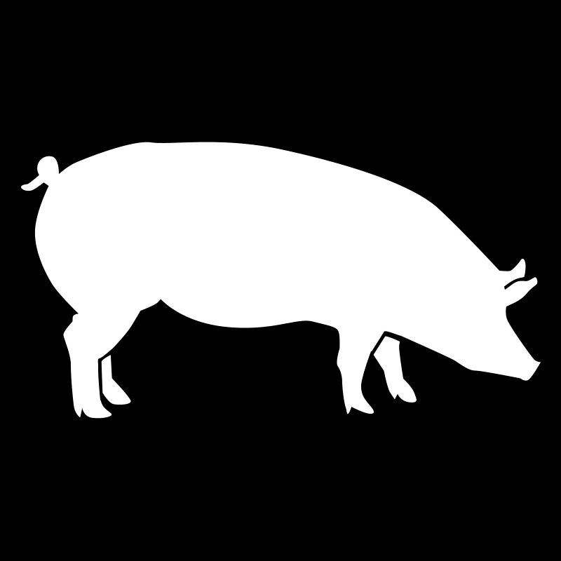 Schwein
