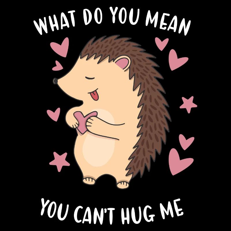 Hedgie Qu'est-ce que tu veux dire tu ne peux pas m'embrasser Hérisson