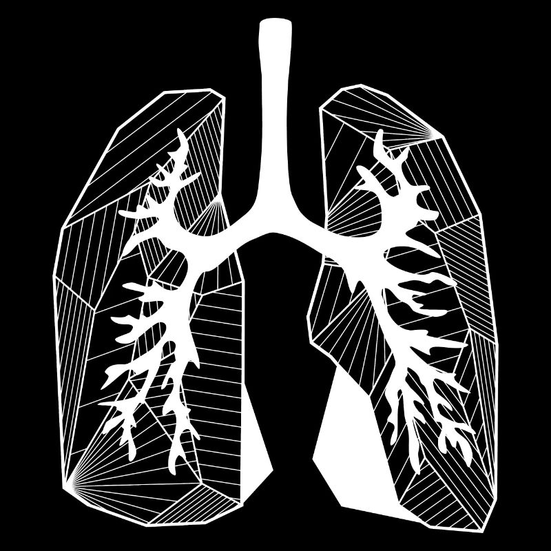 Lungs