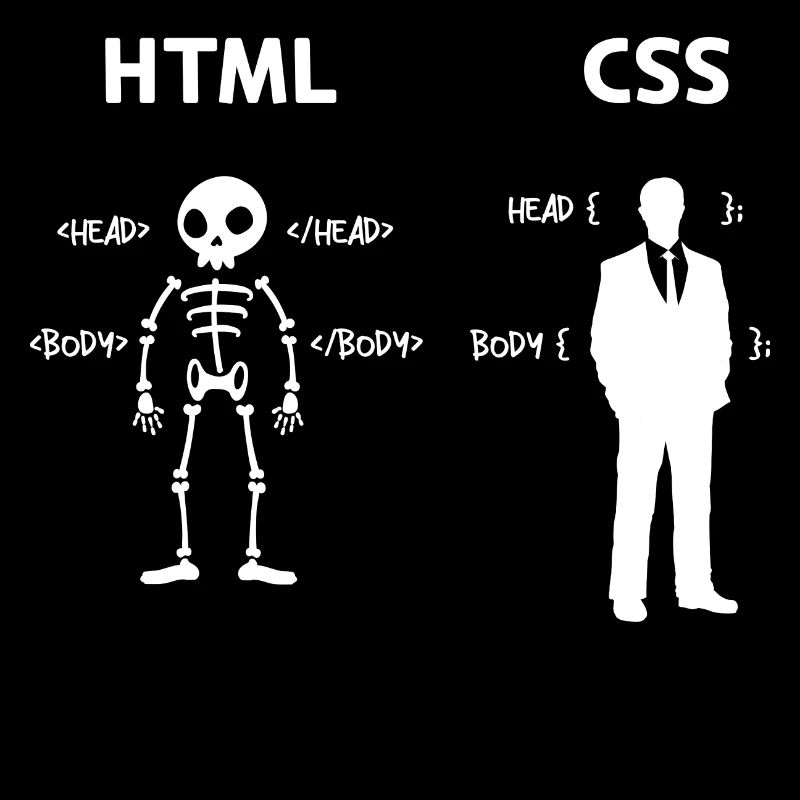 Code Css C++ Php Java Developer Code Skripting