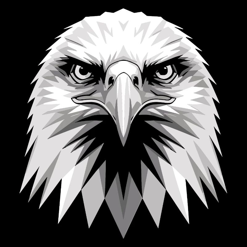 Aigle Pygargue à tête blanche Aigle royal Pygargue à queue blanche