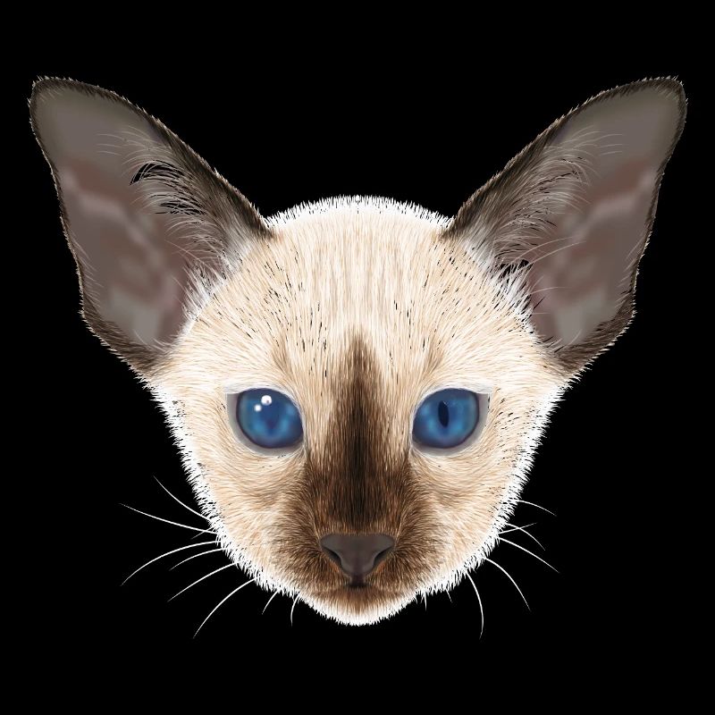Siamkatze 