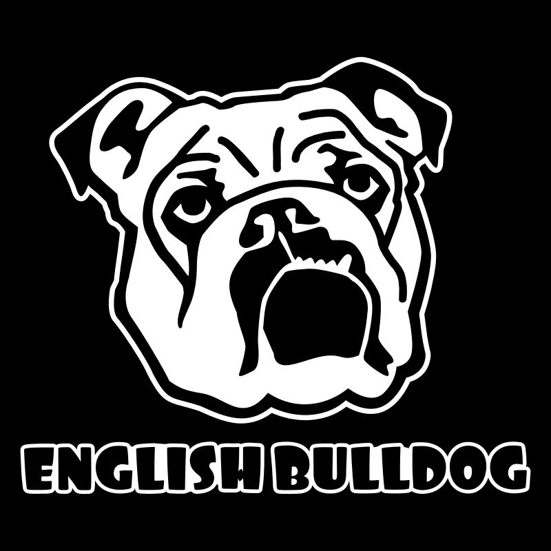Anglais Bouledogue