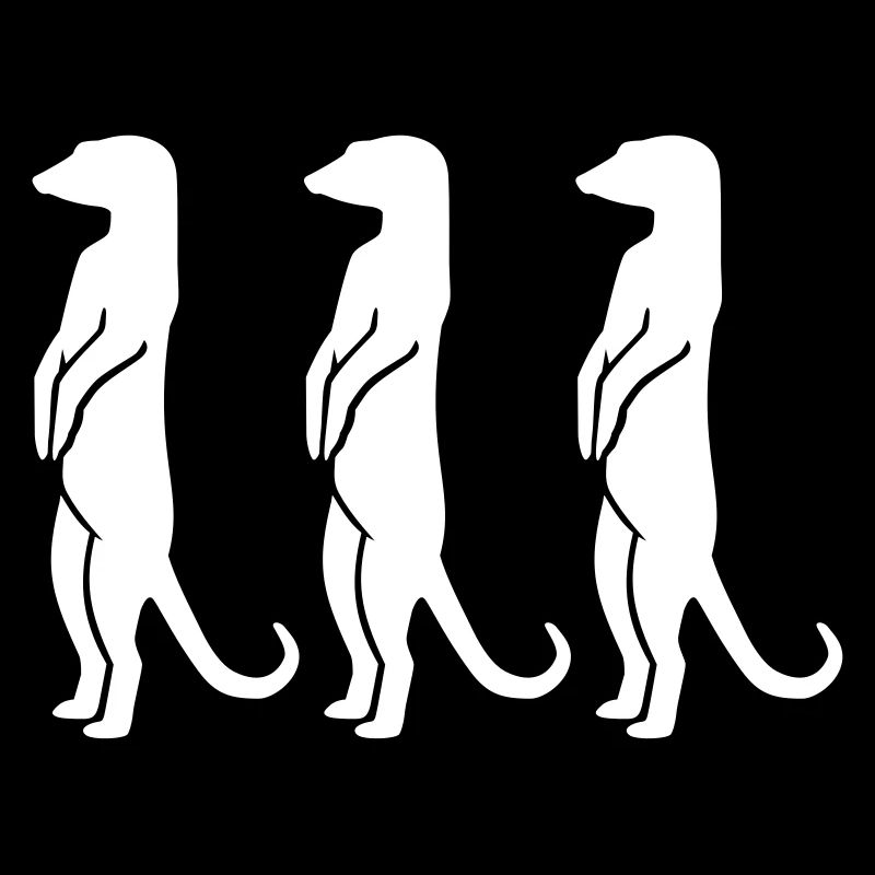 Erdmännchen