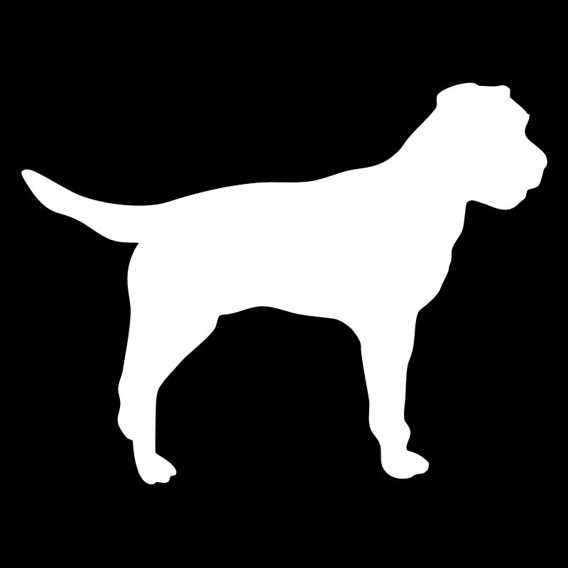 Border Terrier