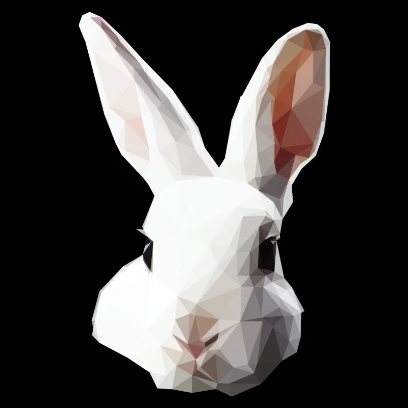 Polygon | White Rabbit